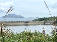 節節上升（圖與文：陳鵬雄）