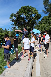 　全村一起來熱鬧！（圖與文：張登傑、陳樂團）
