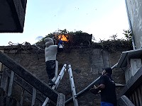 　北竿消防隊日前在塘岐一民宅屋頂一口氣摘了3個蜂窩。（圖／文：陳鵬雄）