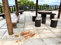 煞風景　（圖與文：陳鵬雄