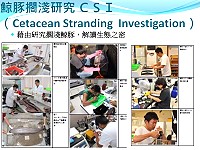 110年連江縣鯨豚保育教育宣導活動採遠距線上直播教學方式授課,說明擱淺處理第一線、從擱淺到博物館-解讀自然史之路等講題。(圖:產發處)
