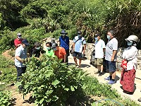 　綠色農夫培訓研習帶領鄉親實際走訪蔬菜公園及鄉親自有農地，了解各種農作物種植方式及如何防治病蟲害。（圖／文：吳嘉榮）
