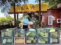 　議員陳玉發購買&#22338;里農民生產1千斤冬瓜前往北竿壁山莊勞軍。（圖／文：陳鵬雄）