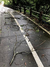 馬祖從11日入夜到12日上午感受「璨樹」颱風過境,各鄉風勢、雨勢有限,未造成重大災情,僅部分道路斷枝落葉。(圖/文:曹重偉)