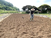　&#22338;里農民開始整地，近期準備栽種今年第一批冬令三寶蔬菜。（圖／文：陳鵬雄）