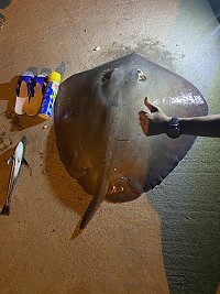 一名釣客日前在橋仔澳口內釣獲一尾重達48斤的大魟魚。(圖:釣友提供)