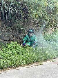 秋天是虎頭蜂好發季節,塘岐一婦人遭螫傷險些休克,消防隊據報後前往摘除。(圖:北竿消防隊提供)