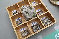 　全村一起來熱鬧！（圖與文：張登傑、陳樂團）