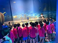 全村一起來熱鬧!(圖與文:張登傑、陳樂團)