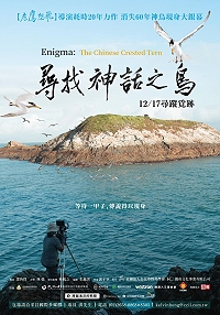 《尋找神話之鳥》黑嘴端鳳頭燕鷗紀錄片采昌國際多媒體公司公布11月17日開放包場宣傳海報。(圖:采昌國際多媒體公司)