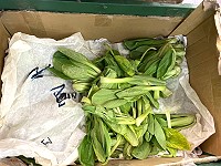 衛福局執行10月份市售生鮮蔬果抽驗,其中1件青江菜檢驗出殘留農藥超出法規限量標準,已令攤商將違規產品下架不得販售。(圖:連江縣衛福局)