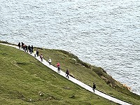 　漫步山海間。（圖與文：陳鵬雄）