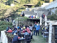 好久不見　圖與文：陳鵬雄