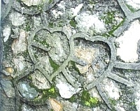　情人節•愛神之箭（圖／文：曹重偉 ）