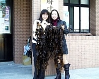 　建設局漁業課輔導養殖的裙帶菜近日豐收，富含多種人體必需營養物質，值得軍民鄉親品味。（圖：連江縣政府建設局提供）