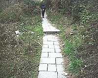 　仁愛村從日光海岸到村口人行步道滿地垃圾、髒亂不堪，值得有關單位注意。（圖／文：曹重偉）