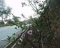 　全村一起來熱鬧！（圖與文：張登傑、陳樂團）