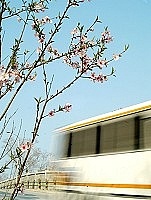 　全村一起來熱鬧！（圖與文：張登傑、陳樂團）