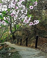 　全村一起來熱鬧！（圖與文：張登傑、陳樂團）