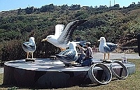 　安東坑道附近的圓環新增黑尾鷗地標，營造東引是黑尾鷗故鄉的觀光意象。（圖／文：陳其敏）