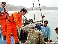 　海巡隊將受傷的大陸漁民蔡達雄送往縣立醫院急救治療後，昨日下午搭乘原船離開馬祖，為兩岸海上救助再增添溫馨美事。（圖／文：張登傑）