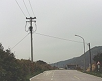 電桿終點站。（圖與文：陳鵬雄）