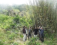 　立委曹原彰昨天邀請文建會專員、專家及原村民一起前往秋桂樓舊址現勘，並在竹林前介紹五十年代的居民分布點。（圖／文：曹重偉）