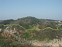 全村一起來熱鬧!(圖與文:張登傑、陳樂團)