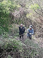 全村一起來熱鬧!(圖與文:張登傑、陳樂團)