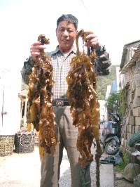 垃圾掩埋處理終非長久之計 規劃焚化方式才能一勞永逸