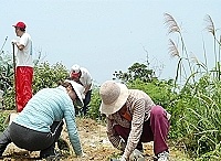　全村一起來熱鬧！（圖與文：張登傑、陳樂團）