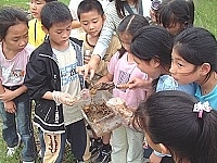 東引國小近百位小朋友到燕秀農田抓「HA-LU-LU」,發現生態的奧妙與樂趣。(圖/文:陳其敏)