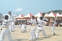   蛙人跆拳表演。（圖／文：張登傑）