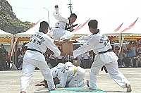   蛙人跆拳表演。（圖／文：張登傑）