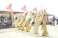   太極門氣功養生學會帶來金鳳凰文舞陣。（圖／文：張登傑）