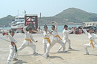   世界之愛和平親善文化訪問團帶來武術表演。（圖／文：張登傑）