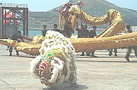   舞龍舞獅表演。（圖／文：張登傑）