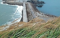 西南風強烈吹襲下,東引介石橋兩邊海浪景觀是大不同,芒草也是往一面倒。(圖/文:陳其敏)