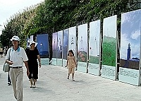 　全村一起來熱鬧！（圖與文：張登傑、陳樂團）