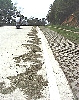 駐軍協助地區割除路邊雜草立意甚佳,卻偶爾發生草屑沒人清理,任其堆積的憾事。(圖/文:曹重偉)
