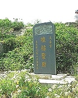 植榕聚財。（圖與文：陳鵬雄）