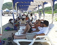 板里沙灘－卡蹓一夏清涼登場。（圖／文：陳鵬雄）