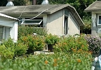 　建設局畜牧中心上方有一個良好的蝴蝶棲息復育環境，提供民眾認識蝴蝶的一生及蝴蝶的寄主、蜜源植物。（圖／文：張登傑）