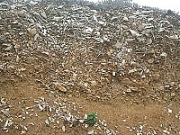 　全村一起來熱鬧！（圖與文：張登傑、陳樂團）