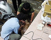 　建設局與中興大學獸醫系合作，為地區犬隻健康服務，圖為獸醫準備為小狗結紮。（圖／文：陳鵬雄）