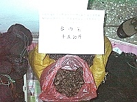 　馬祖海巡隊查獲大陸漁民非法上岸採集貝類。（圖／文：張登傑）