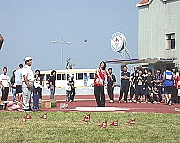 　看我天生神力！不少女選手丟鉛球的實力不容小覷。（圖／文：曹重偉）
