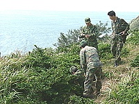 　國軍馬祖防爆組成員支援西莒民眾公墓用地排雷。（圖／文：陳樂團）