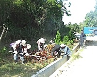 　建設局近日進行山線主幹道及多處植栽點的花卉替換工作，也提醒鄉親切勿攀折。（圖／文：曹重偉）