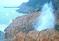 　罕見的冬颱南瑪都逼近，地區沿海風浪增大，五三據點附近海岸激起壯觀浪花。（圖／文：張登傑）